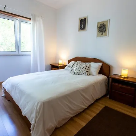 Sunny Place- Walking Distance To The Beach Apartment Santo Isidoro
